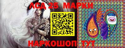 ALPHA PVP Гатчина