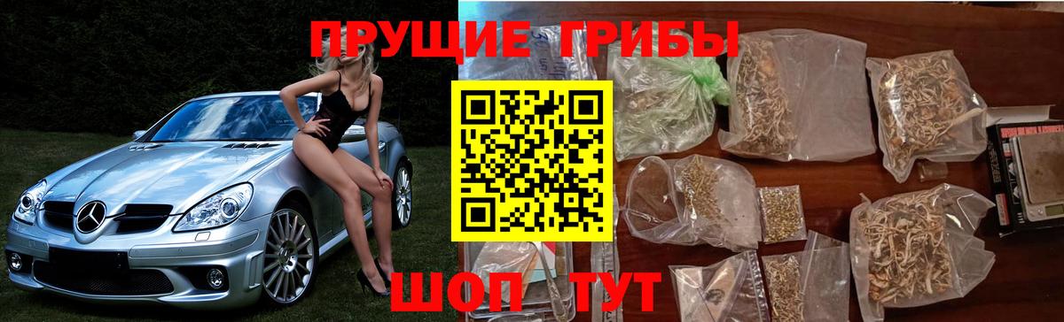 Псилоцибиновые грибы ЛСД  Вход с VPN  Галлюциногенные грибы прущие грибы  Мытищи 