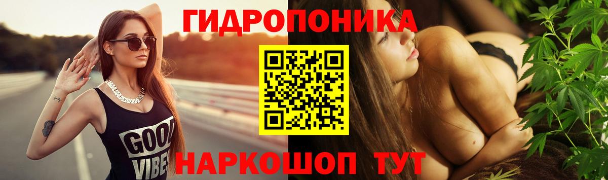 Мытищи  Шишки марихуана план  Канабис план  Вход с VPN 